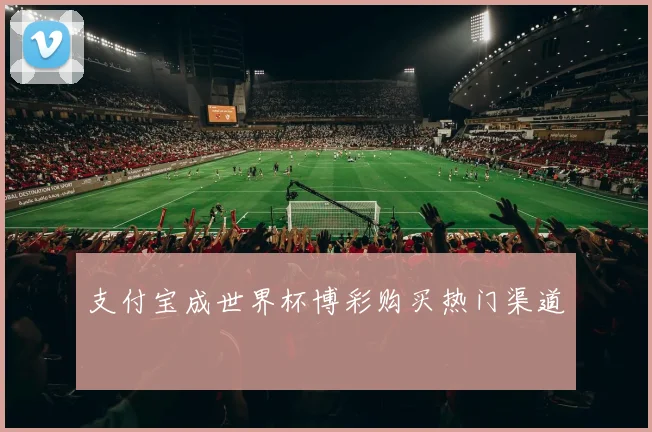 支付宝成世界杯博彩购买热门渠道