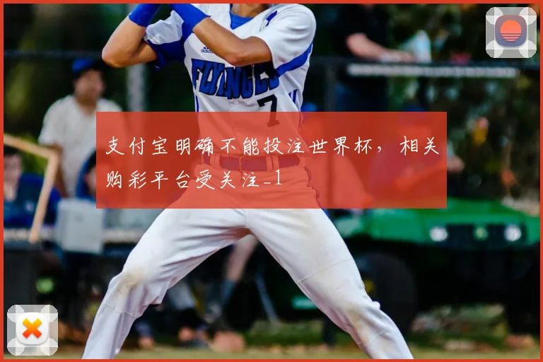 支付宝明确不能投注世界杯，相关购彩平台受关注_1