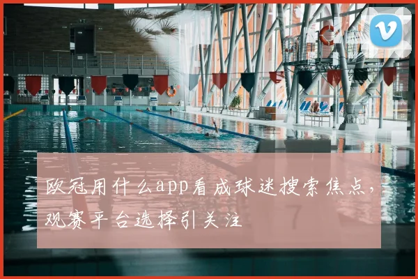 欧冠用什么app看成球迷搜索焦点，观赛平台选择引关注