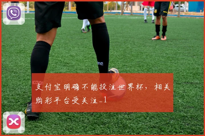 支付宝明确不能投注世界杯，相关购彩平台受关注_1