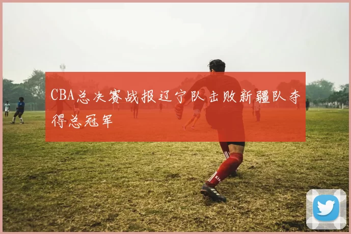 CBA总决赛战报辽宁队击败新疆队夺得总冠军