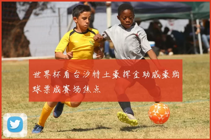 世界杯看台沙特土豪挥金助威豪购球票成赛场焦点