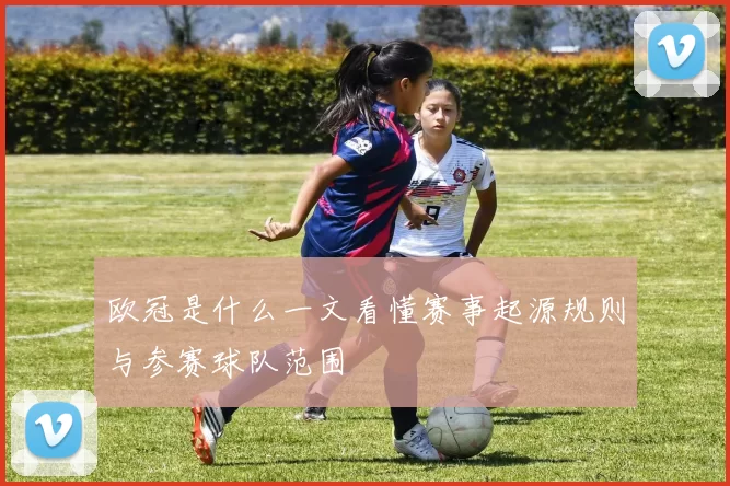 欧冠是什么一文看懂赛事起源规则与参赛球队范围