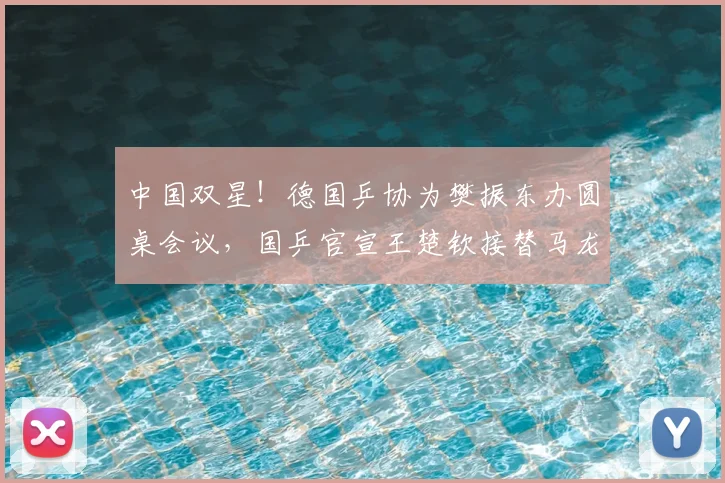 中国双星！德国乒协为樊振东办圆桌会议，国乒官宣王楚钦接替马龙