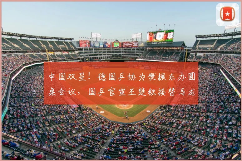 中国双星！德国乒协为樊振东办圆桌会议，国乒官宣王楚钦接替马龙